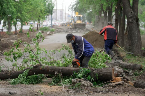 A picture of a man in the process removing a tree in the street of Newark, DE.