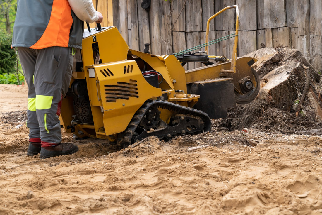 A picture of a man stump grinding for new construction.